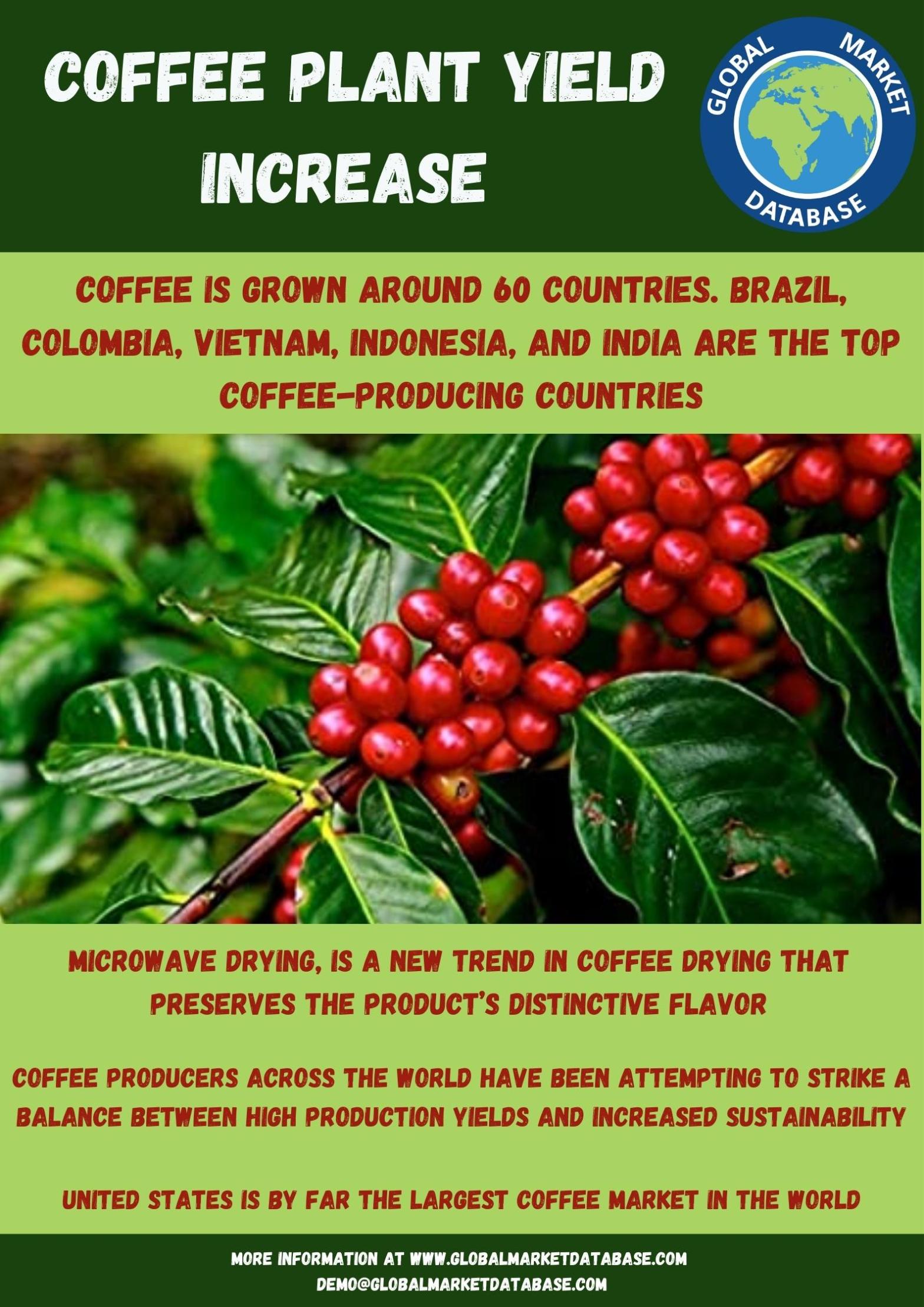Coffee Plant Yield Increase